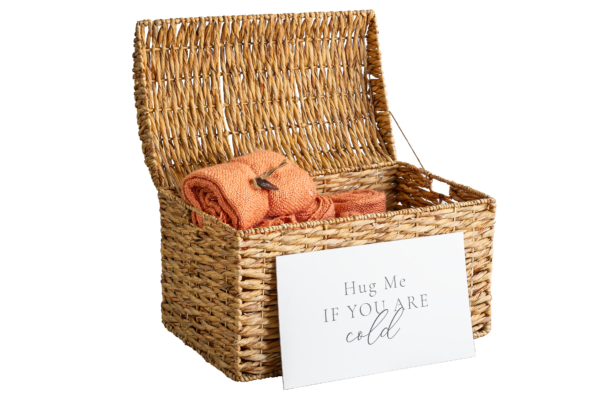 Baú de Verga Decorativo