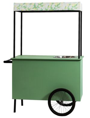 Carrinho Verde Decorativo